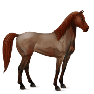 cavallo da corsa mustang roano rosso