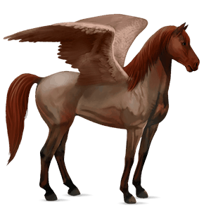 pegaso da corsa holstein nero
