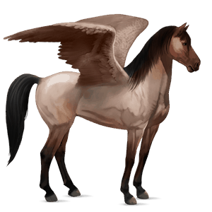 pegaso da corsa hanoverian baio