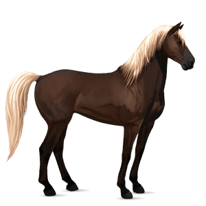 cavallo da corsa castano