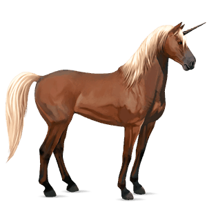 unicorno da corsa kwpn baio rossastro