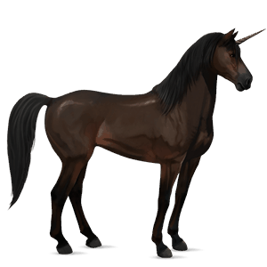 unicorno da corsa selle français baio scuro