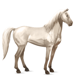 cavallo da corsa mustang grigio chiaro