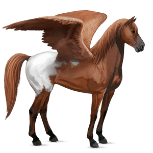 pegaso da corsa mustang manto castano