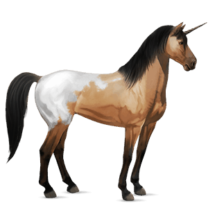 unicorno da corsa akhal-teke palomino