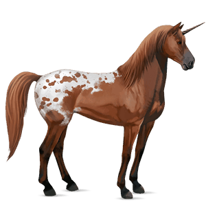 unicorno da corsa knabstrupper baio leopardato