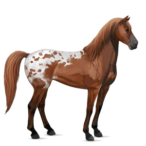 cavallo da corsa mangalarga marchador roano