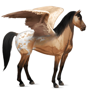 pegaso da corsa purosangue spagnolo grullo