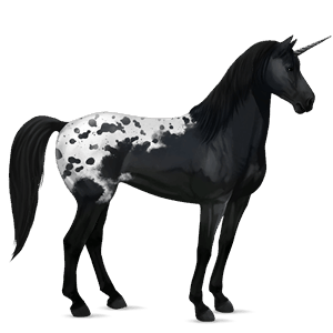 unicorno da corsa baio scuro