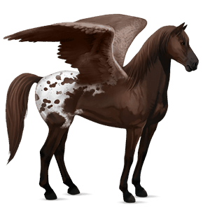 pegaso da corsa trottatore francese baio