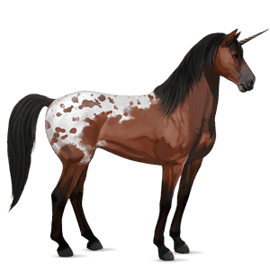 unicorno da corsa appaloosa manto baio