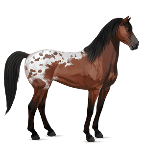 cavallo da corsa tennessee walker grigio chiaro