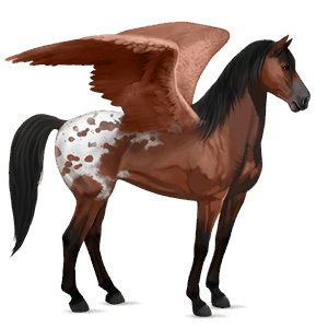 pegaso da corsa castano biondo platino