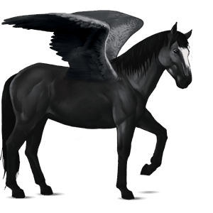 pegaso da corsa nokota roano