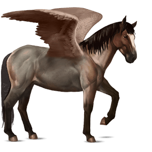 pegaso da corsa nokota roano