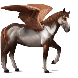 pegaso da corsa cavallo arabo baio