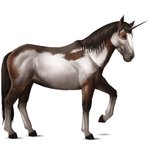 unicorno da corsa nokota overo baio