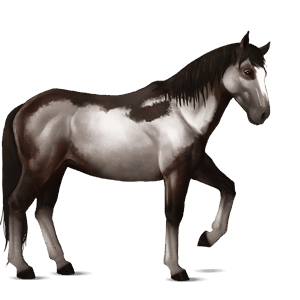 cavallo da corsa akhal-teke castano