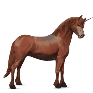 unicorno pony castano biondo platino