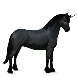 unicorno pony fjord brunblakk