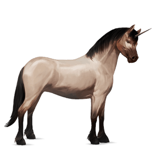 unicorno pony pony di terranova grigio pezzato