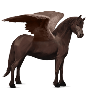 pegaso pony pony di terranova baio rossastro