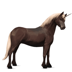 unicorno pony fjord brunblakk