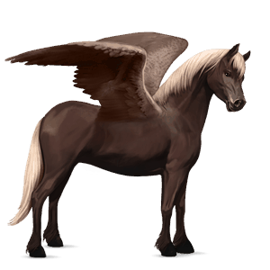 pegaso pony castano biondo scuro