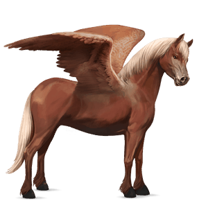 pegaso pony haflinger castano biondo platino