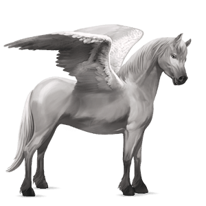 pegaso pony castano biondo platino
