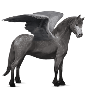 pegaso pony grigio pezzato