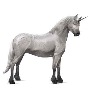 unicorno pony kerry bog tobiano grigio pezzato