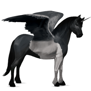 unicorno pony alato  shetland tobiano pinto baio chiaro