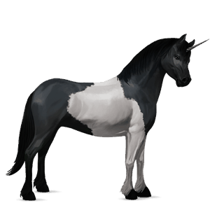 unicorno pony welsh grigio chiaro