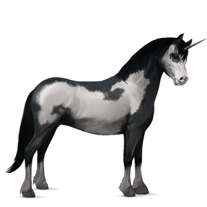 unicorno pony castano biondo platino