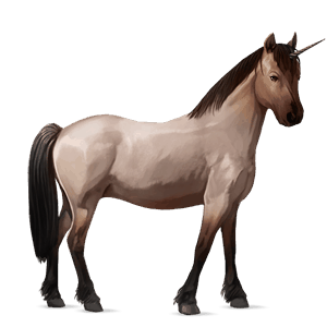 unicorno pony welsh roano