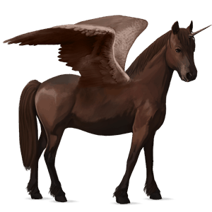 unicorno pony alato  castano scuro