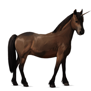 unicorno pony baio scuro