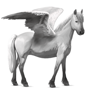 pegaso pony pony di terranova grigio chiaro
