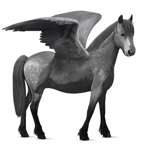 pegaso pony haflinger castano biondo platino