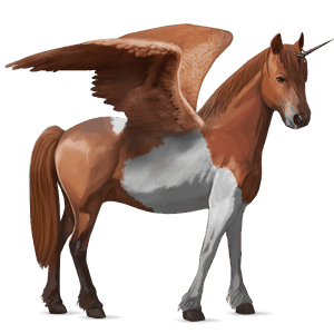 unicorno pony alato  fjord brunblakk