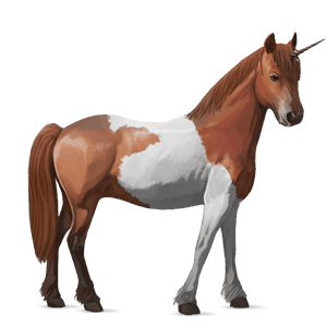 unicorno pony castano