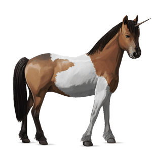 unicorno pony castano biondo platino