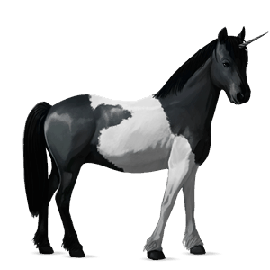 unicorno da tiro tobiano pinto baio chiaro