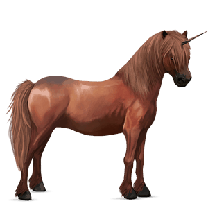 unicorno pony pony di terranova castano