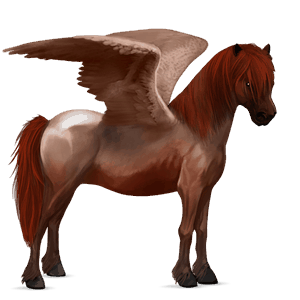 pegaso da corsa purosangue inglese baio scuro