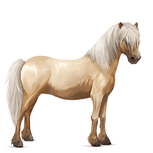 cavallo da corsa hanoverian daino