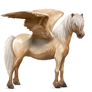pegaso pony haflinger palomino