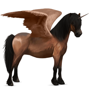 unicorno da corsa alato cavallo islandese baio