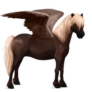 pegaso pony haflinger castano biondo scuro